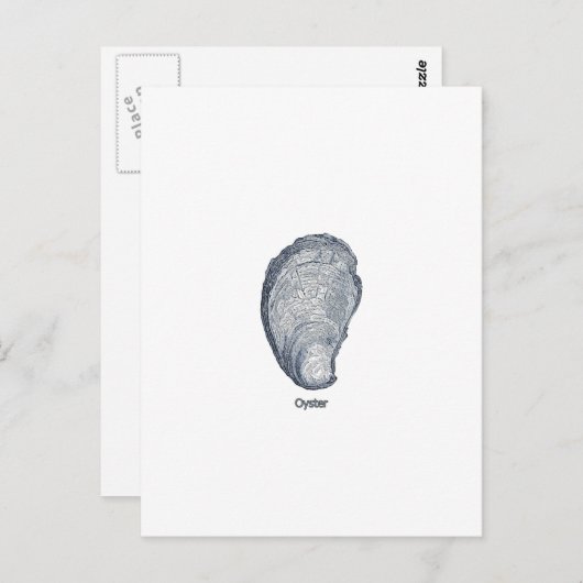 Carte Postale Logo de Shell d'huître (Devant / Derrière)