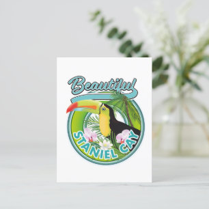 Carte Postale Logo de voyage Staniel Cay