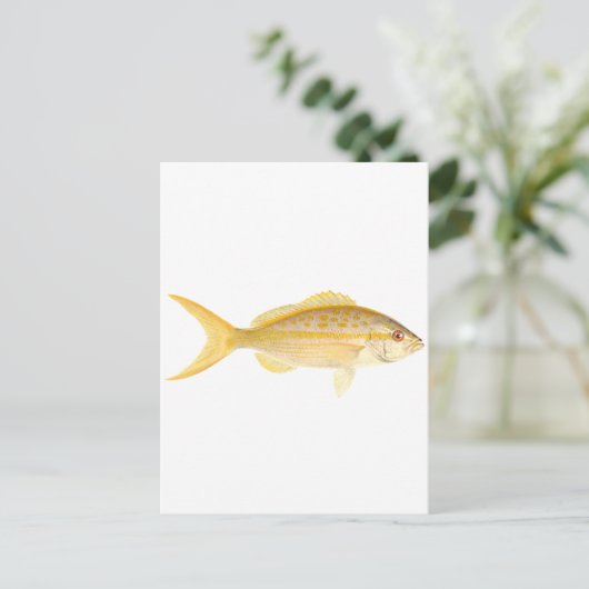 Carte Postale Logo de Yellowtail Snapper (Debout devant)