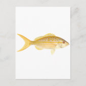 Carte Postale Logo de Yellowtail Snapper (Devant)