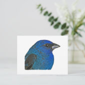 Carte Postale Logo Indigo Bunting (Debout devant)