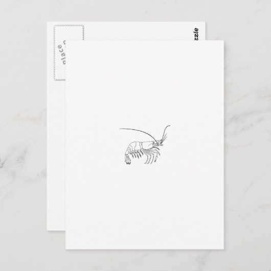 Carte Postale Logo Prawn (Devant / Derrière)