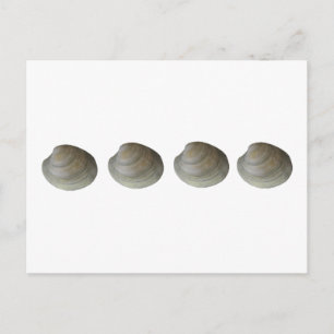 Carte Postale Logo Quahog Clams