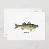 Carte Postale Logo Rockfish (Devant / Derrière)