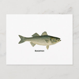 Carte Postale Logo Rockfish