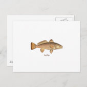 Carte Postale Logo sébaste (Devant / Derrière)