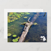 Carte Postale Logo vertical du journal des tortues du Metropark  (Devant / Derrière)