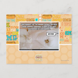 Carte Postale Loi de la nature #45