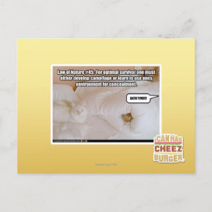 Carte Postale Loi de la nature #45