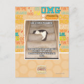 Carte Postale Lois de Kitteh Probabilité (Devant)