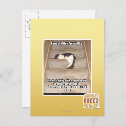 Carte Postale Lois de Kitteh Probabilité (Devant / Derrière)