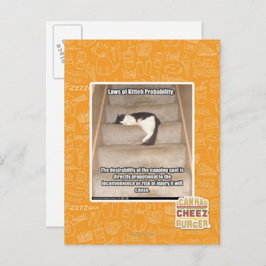 Carte Postale Lois de Kitteh Probabilité (Devant / Derrière)