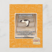 Carte Postale Lois de Kitteh Probabilité (Devant)