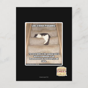 Carte Postale Lois de Kitteh Probabilité