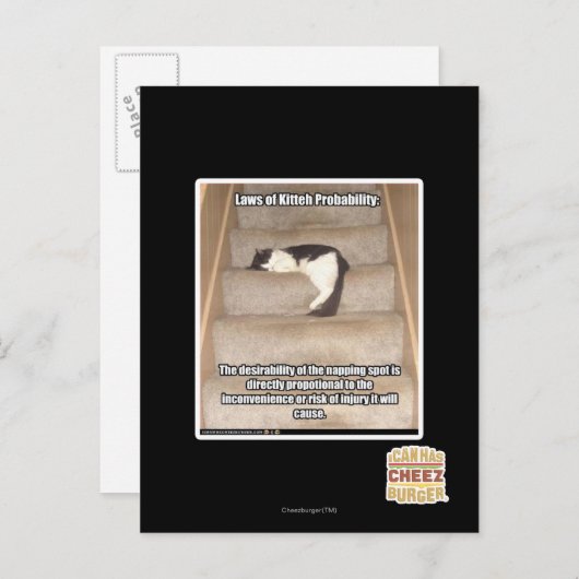 Carte Postale Lois de Kitteh Probabilité (Devant / Derrière)