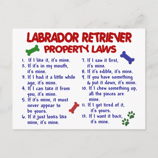 Carte Postale Lois de propriété de LABRADOR RETRIEVER (Devant)