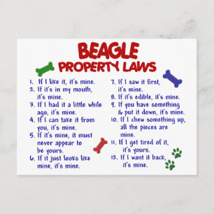 Carte Postale Lois sur la propriété beagle 2