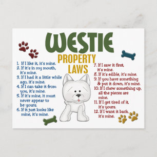 Carte Postale Lois sur la propriété Westie 4