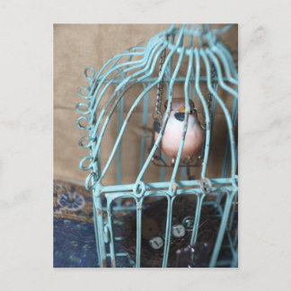 Carte Postale L'oiseau détient la clé