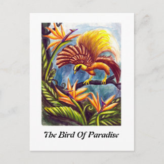 Carte Postale L'Oiseau du Paradis
