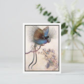 Carte Postale L'Oiseau du Paradis par Warwick Goble (Debout devant)