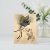 Carte Postale « L'Oiseau le plus beau » par Warwick Goble (Debout devant)