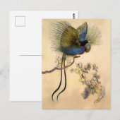 Carte Postale « L'Oiseau le plus beau » par Warwick Goble (Devant / Derrière)