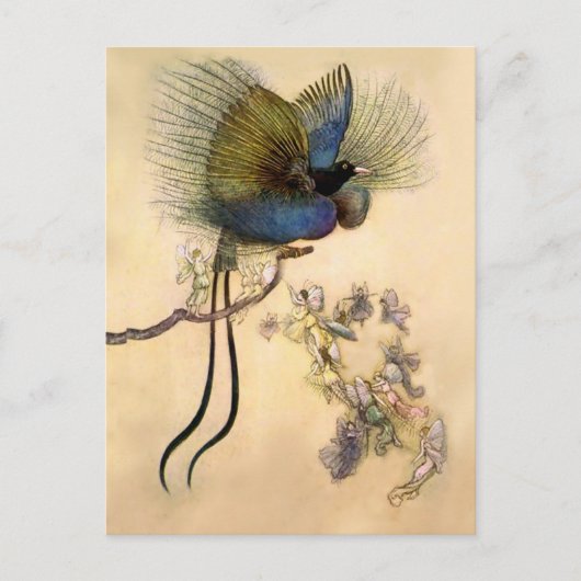 Carte Postale « L'Oiseau le plus beau » par Warwick Goble (Devant)