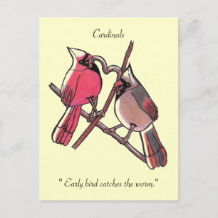 Carte Postale " L'oiseau matinal attrape le ver."Carte postale
