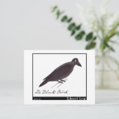 Carte Postale L'oiseau noir d'Edward Lear (Debout devant)