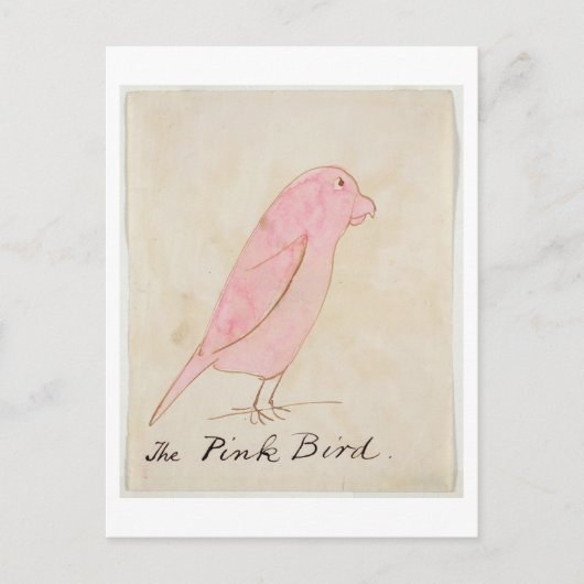 Carte Postale L'oiseau rose, de 'Seteen Drawings of Comic Bir (Devant)