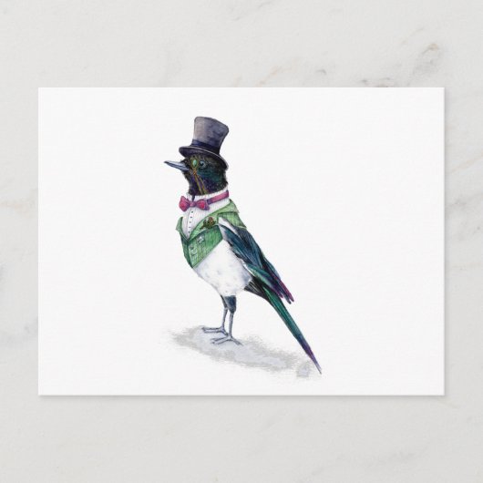 Carte Postale L'oiseau victorien Magpie (Devant)
