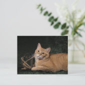 Carte Postale Loki avec traîneau (Debout devant)