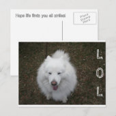 CARTE POSTALE LOL (Devant / Derrière)