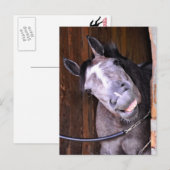 CARTE POSTALE LOL (Devant / Derrière)