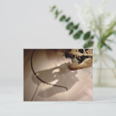 Carte Postale L'ombre de Sue (Debout devant)