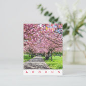 Carte postale London Greenwich Park vue sur la fle (Debout devant)