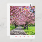 Carte postale London Greenwich Park vue sur la fle (Devant / Derrière)