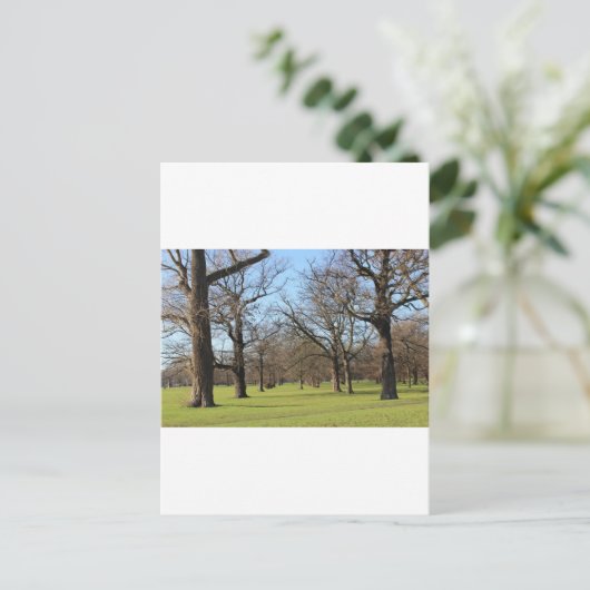 Carte Postale Londres (Debout devant)