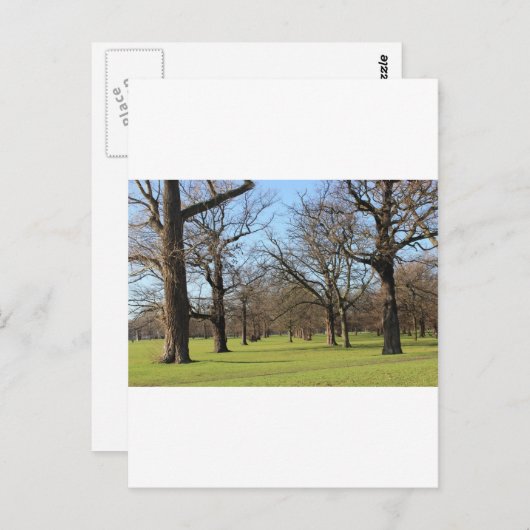 Carte Postale Londres (Devant / Derrière)