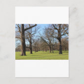 Carte Postale Londres (Devant)