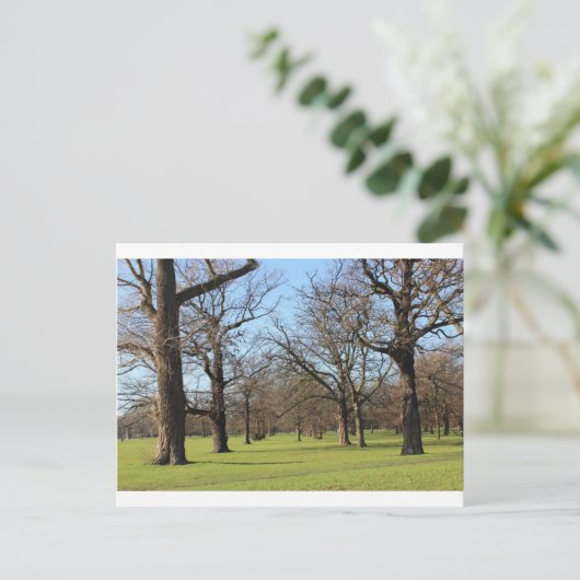 Carte Postale Londres (Debout devant)