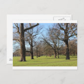 Carte Postale Londres (Devant / Derrière)