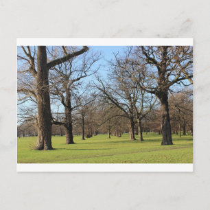 Carte Postale Londres