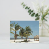 Carte Postale Lone Beach À Fort Myers Beach Floride (Debout devant)