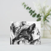 Carte Postale Lone Desert Coyote, D.B. Martin 2005 (Debout devant)