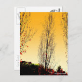 Carte Postale "Lone Sentinel" (Devant / Derrière)