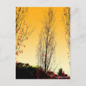 Carte Postale "Lone Sentinel" (Devant)