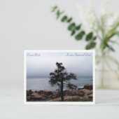 Carte Postale Lone Sentinel sur Ocean Path (Debout devant)