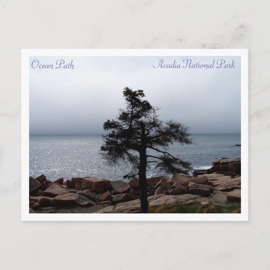 Carte Postale Lone Sentinel sur Ocean Path (Devant)